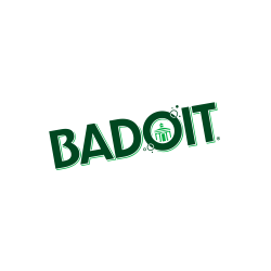 Eau gazeuse Badoit citron vert – Carton de 30 * 0.5 litre