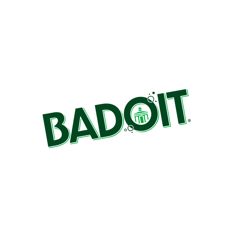 Eau gazeuse Badoit citron vert – Carton de 30 * 0.5 litre