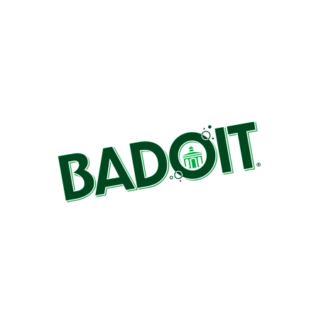 Eau gazeuse Badoit citron vert – Carton de 30 * 0.5 litre