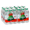 Volvic zest fraise 50 cl pack de 24